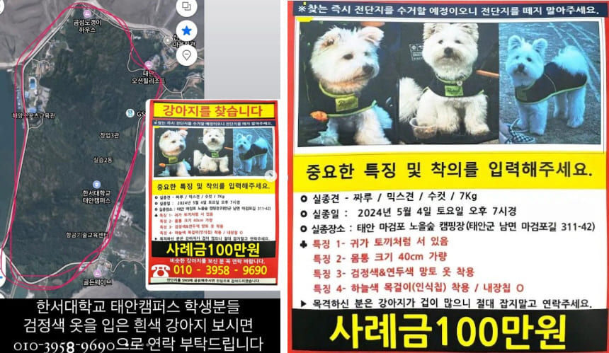 유튜버 짜루캠핑의 강아지 '짜루'가 실종되었다. 오프리쉬와 목줄 사용에 대한 논란이 재조명을 받고 있다. 뉴스기사 썸네일