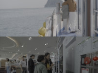 엄마, 여행 갈래? 이효리와 딸, 거제 외도 여행...해금강 절경 감탄 기사의 썸네일