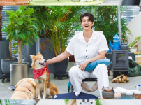 '우리동네 털뭉치들' 동물원 탈출 사건: 얼룩말 세로 대신 갈비 사자가 바람이 근황은? 기사의 썸네일