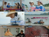 '언니네 산지직송' 출연진 덱스, 촬영지 고창서 동죽캐기 도전에 염정아 출연하기 기사의 썸네일