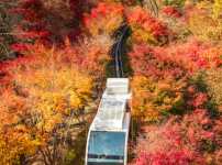 화담숲 단풍 관람 예약, 10월 23일부터 시작...성수기 예약은 16일부터 가능 기사의 썸네일