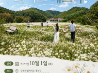 내달 1일, 홍천 월천리에서 구절초를 테마로 한 '화이트 페스타' 개최 예정 기사의 썸네일