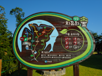 충북 음성 맹동치유의숲, 저수지를 따라 걷는 힐링 코스로 각광 기사의 썸네일