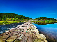 충북 진천의 매력 탐방: 천년의 농다리에서 초평호까지, 미르309 출렁다리 트레킹 여정 기사의 썸네일
