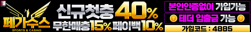 페가수 배너