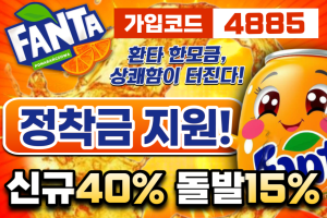 환타의 소개 이미지