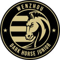 Wenzhou Professional 엠블렘