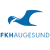 2025-07-20 [Eliteserien] 볼레렝아 포트발 VS 헤우게순 분석의 헤우게순 엠블럼